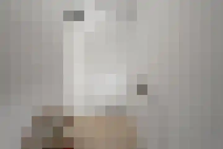 Kreekwaard 17 Alkmaar thumbnail 8