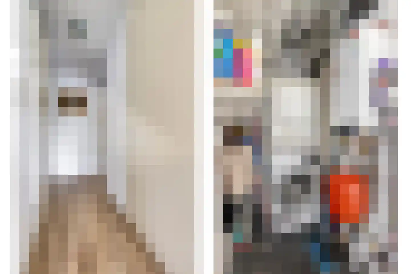 Kreekwaard 27 Alkmaar thumbnail 10
