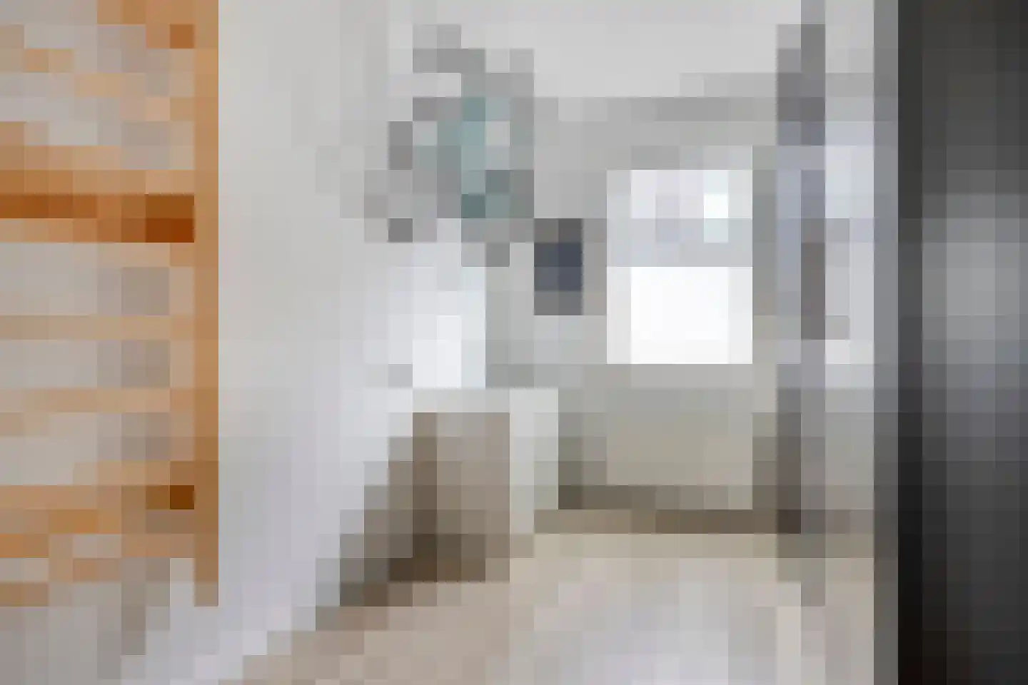 Kreekwaard 27 Alkmaar thumbnail 11
