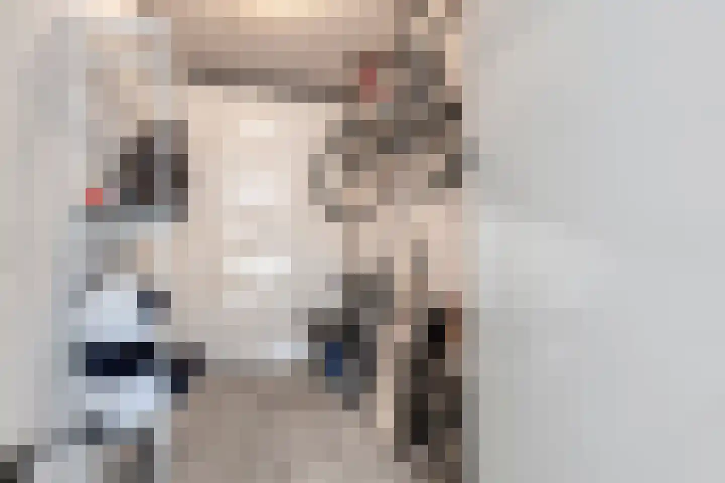 Kreekwaard 27 Alkmaar thumbnail 16