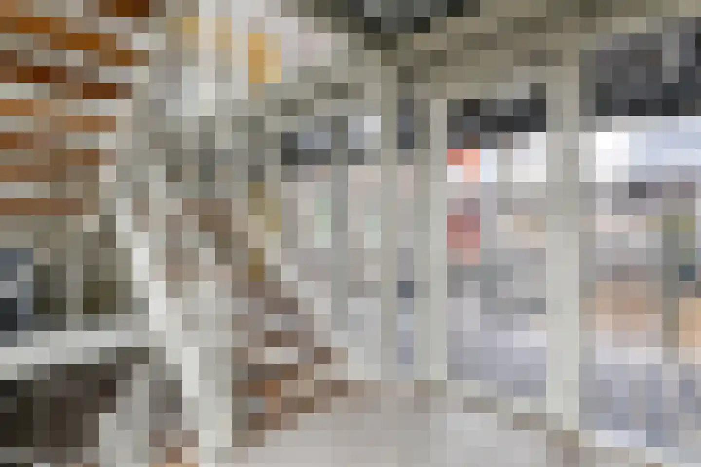 Kreekwaard 27 Alkmaar thumbnail 18