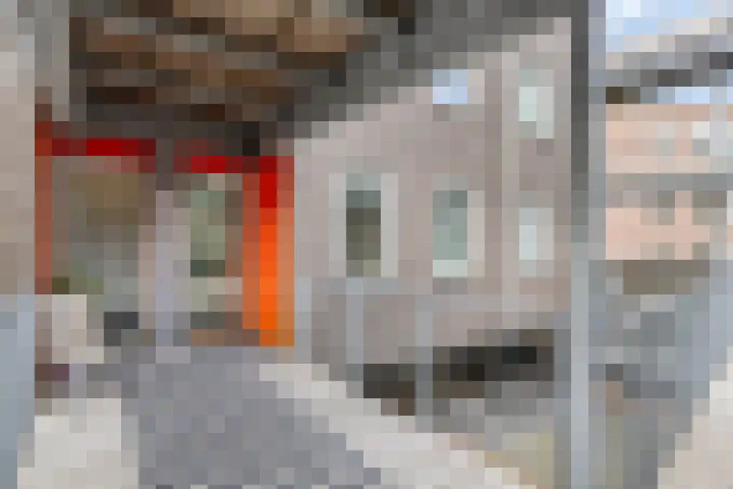 Kreekwaard 27 Alkmaar thumbnail 20