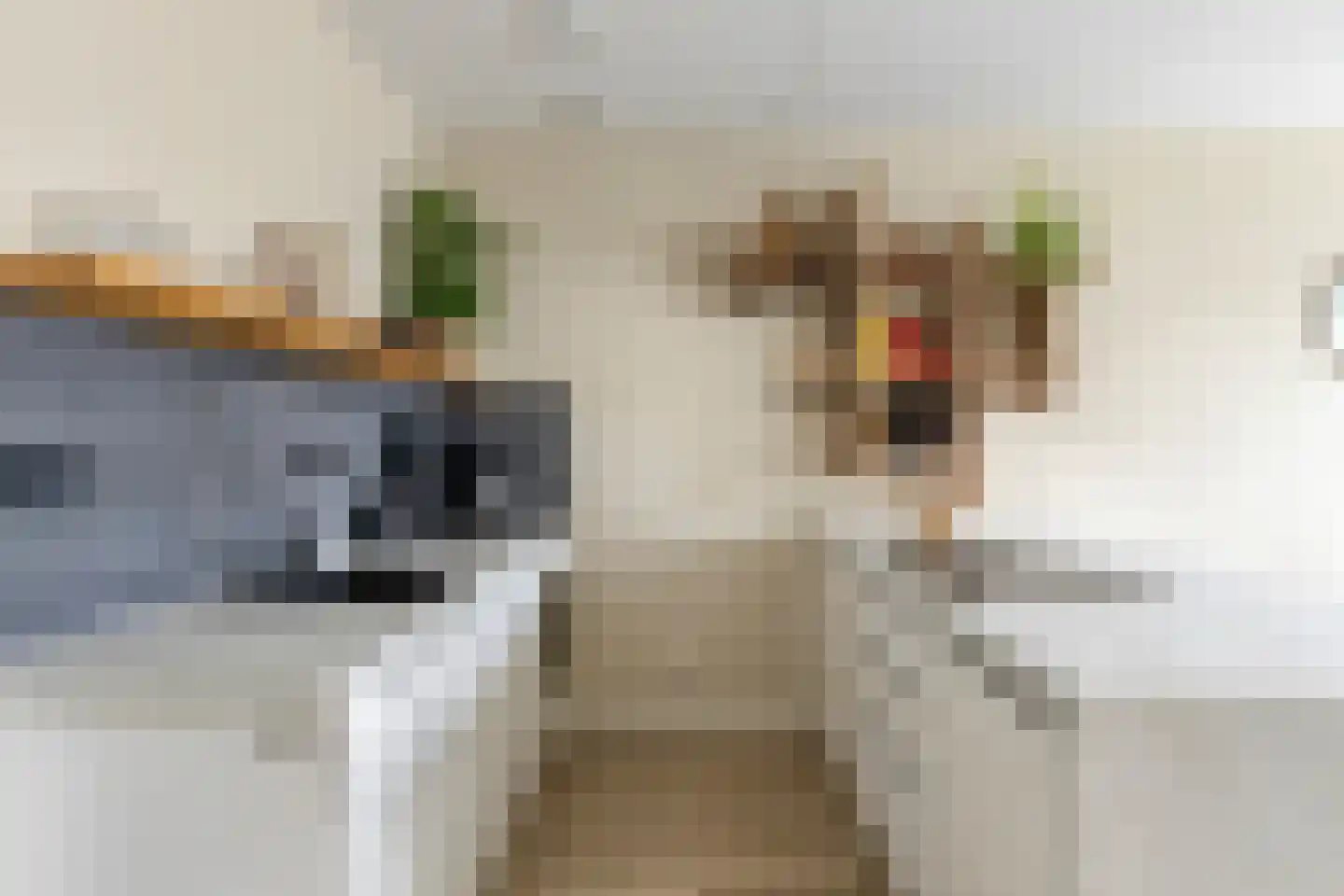 Kreekwaard 27 Alkmaar thumbnail 6