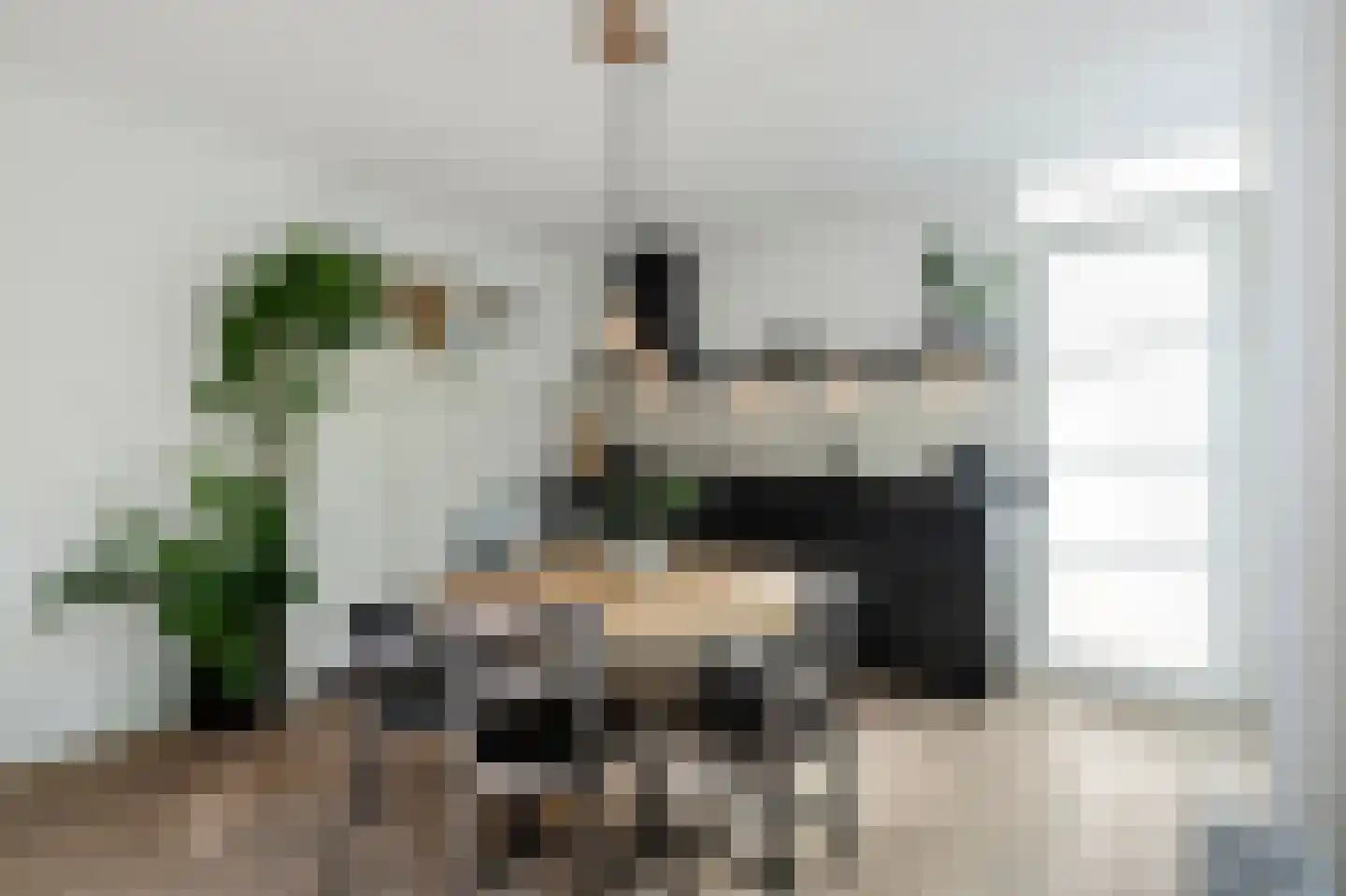 Kreekwaard 3 Alkmaar thumbnail 12