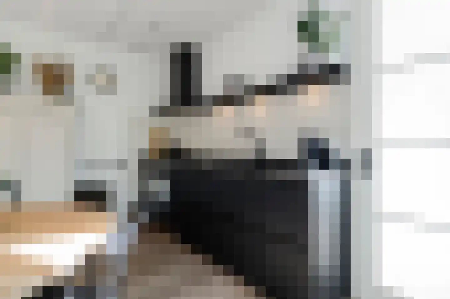 Kreekwaard 3 Alkmaar thumbnail 13