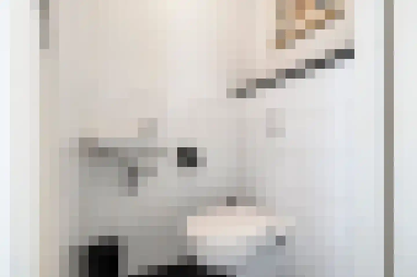 Kreekwaard 3 Alkmaar thumbnail 15