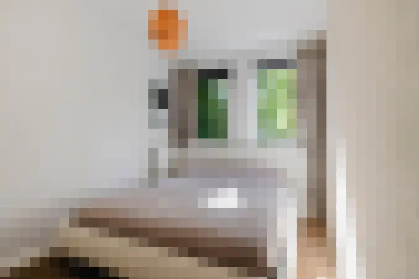 Kreekwaard 3 Alkmaar thumbnail 16