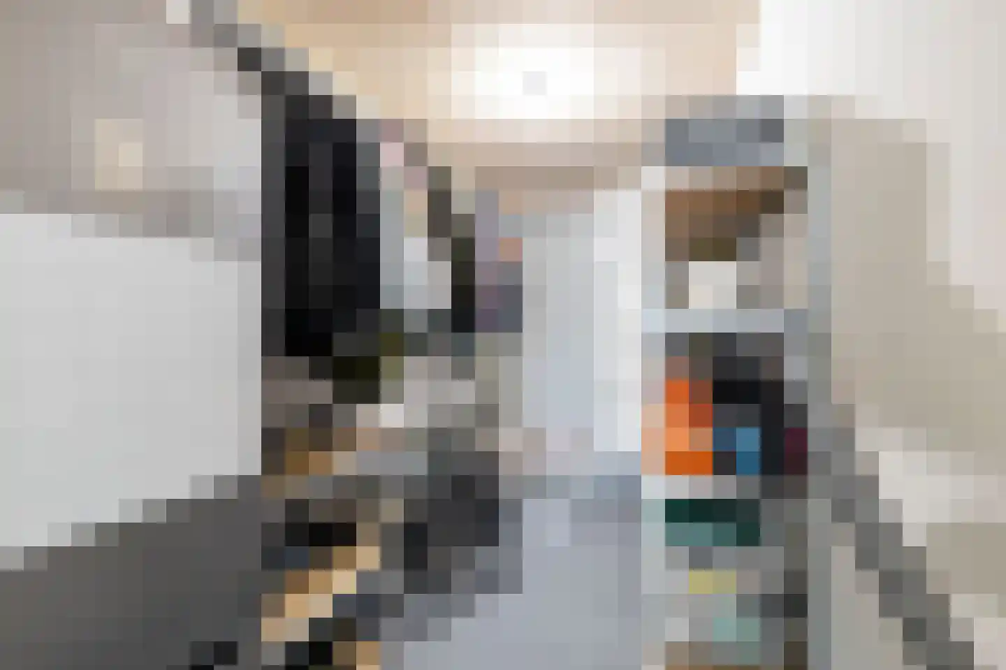 Kreekwaard 3 Alkmaar thumbnail 21
