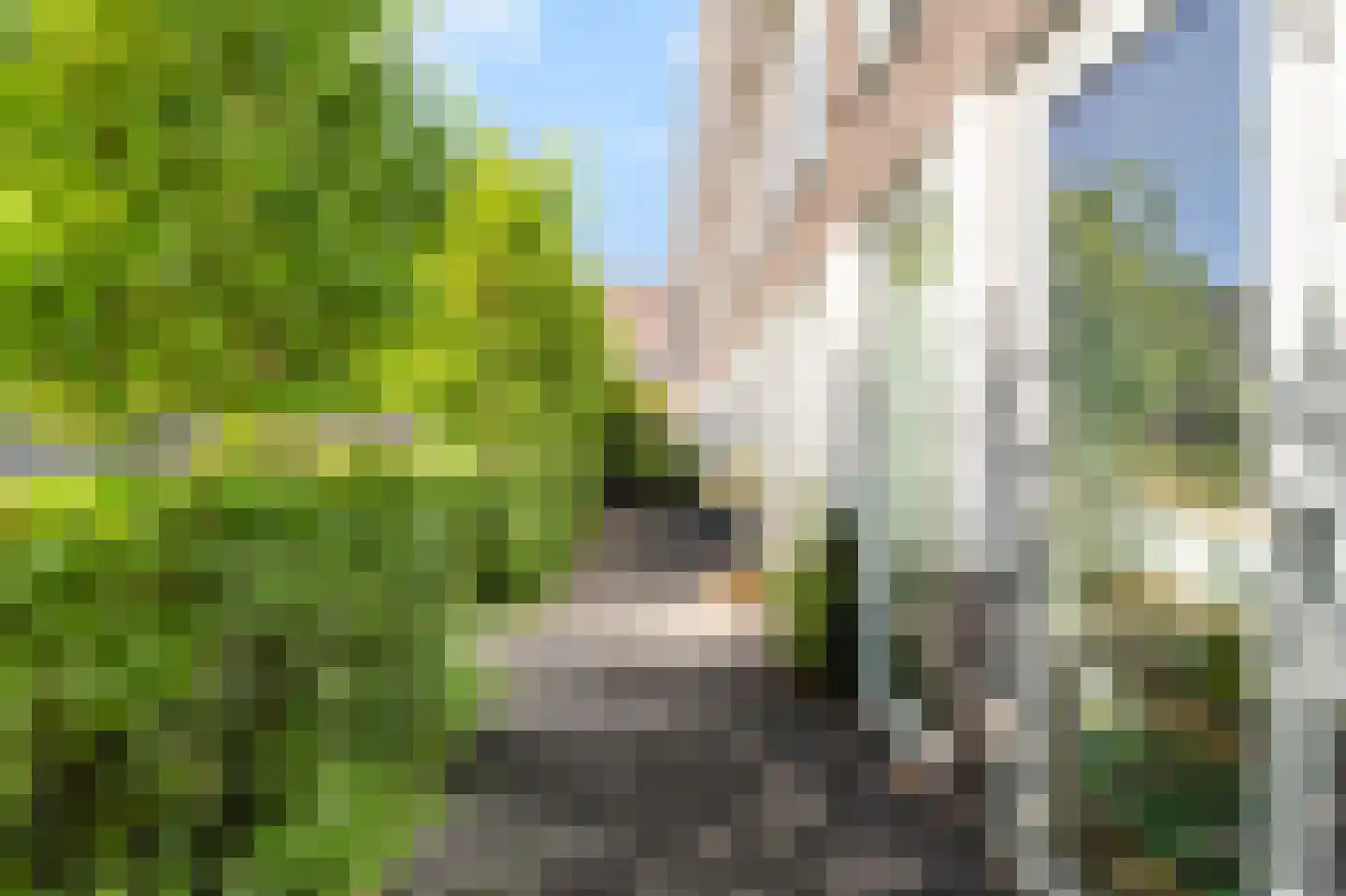 Kreekwaard 3 Alkmaar thumbnail 27