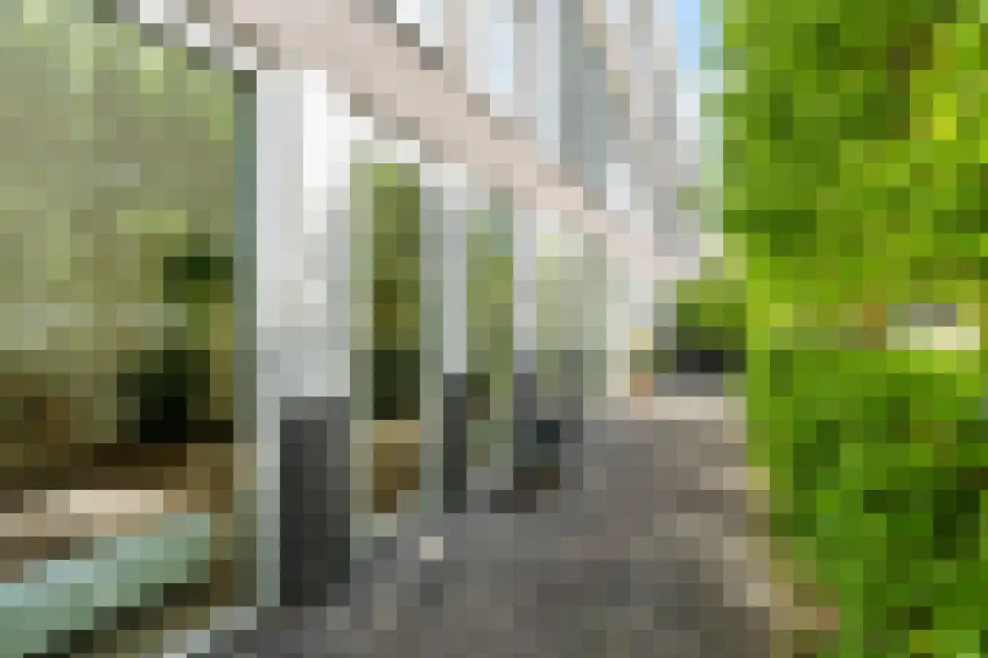 Kreekwaard 3 Alkmaar thumbnail 28