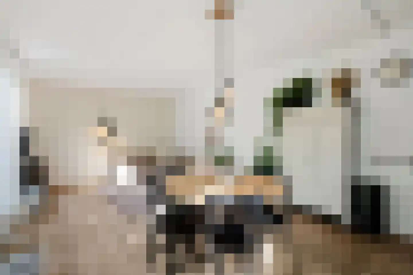 Kreekwaard 3 Alkmaar thumbnail 6