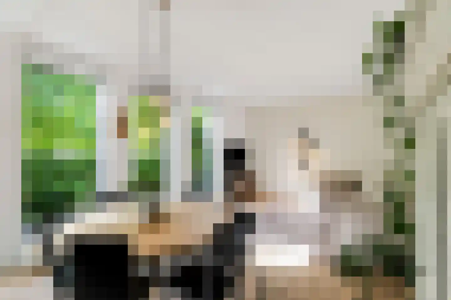 Kreekwaard 3 Alkmaar thumbnail 7