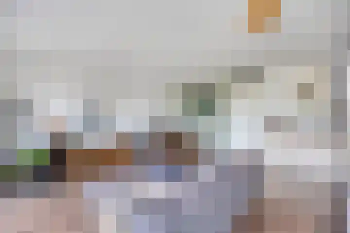 Kreekwaard 43 Alkmaar thumbnail 12