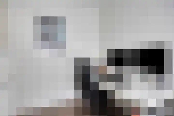 Kreekwaard 43 Alkmaar thumbnail 14