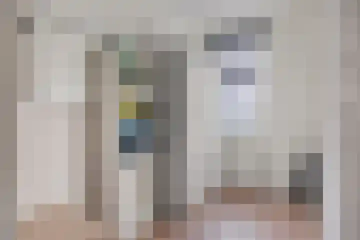 Kreekwaard 43 Alkmaar thumbnail 15