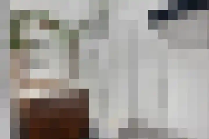 Kreekwaard 43 Alkmaar thumbnail 16