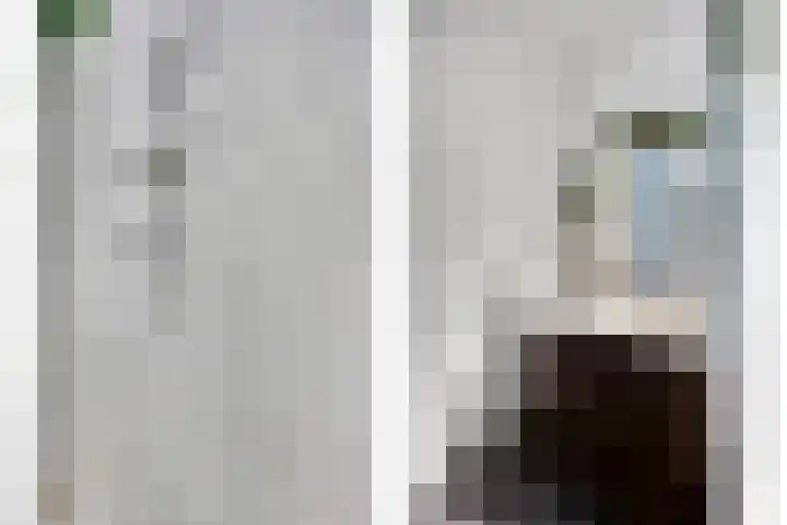Kreekwaard 43 Alkmaar thumbnail 17