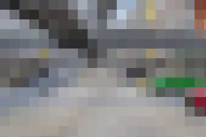 Kreekwaard 43 Alkmaar thumbnail 20