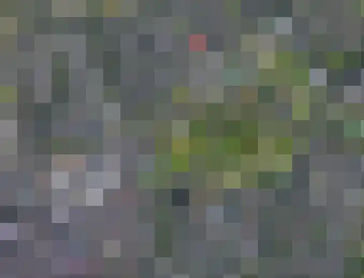 Kreekwaard 43 Alkmaar thumbnail 24