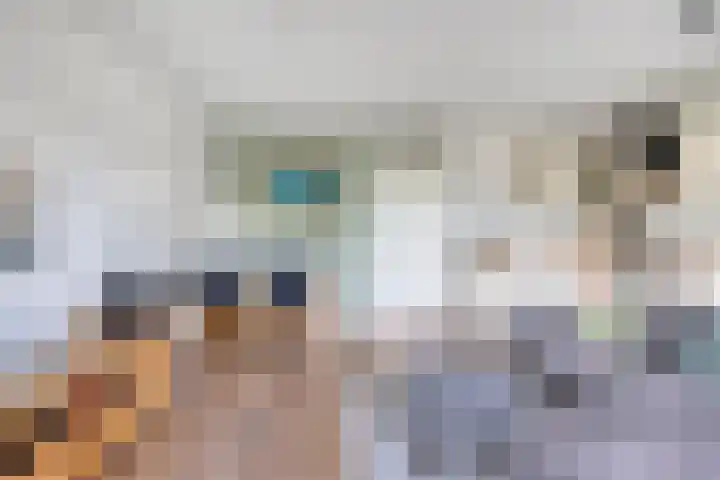 Kreekwaard 43 Alkmaar thumbnail 4