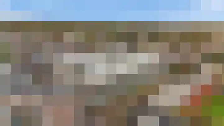 Kreekwaard 43 Alkmaar thumbnail 5