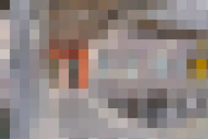 Kreekwaard 43 Alkmaar thumbnail 8