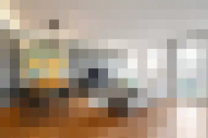 Kreekwaard 45 Alkmaar thumbnail 10