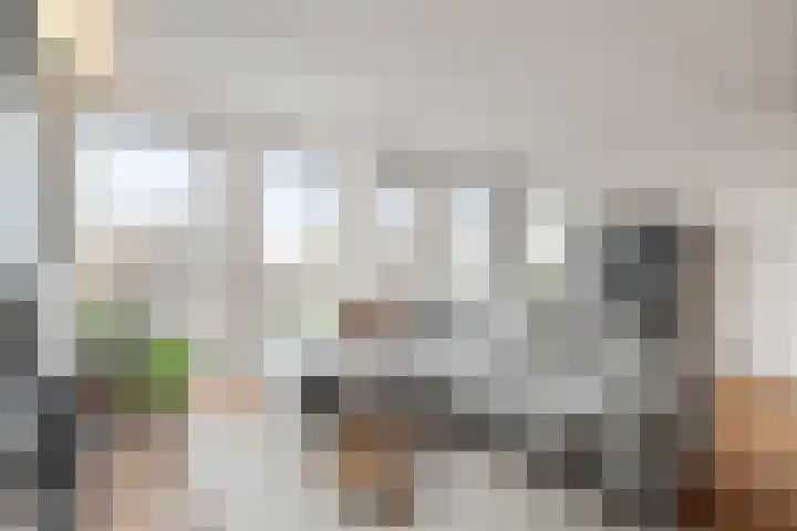 Kreekwaard 45 Alkmaar thumbnail 12