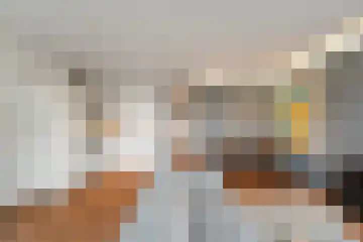 Kreekwaard 45 Alkmaar thumbnail 14