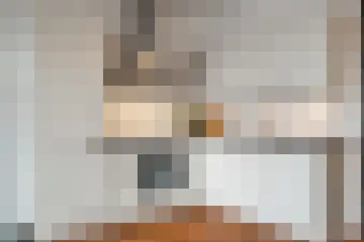 Kreekwaard 45 Alkmaar thumbnail 15