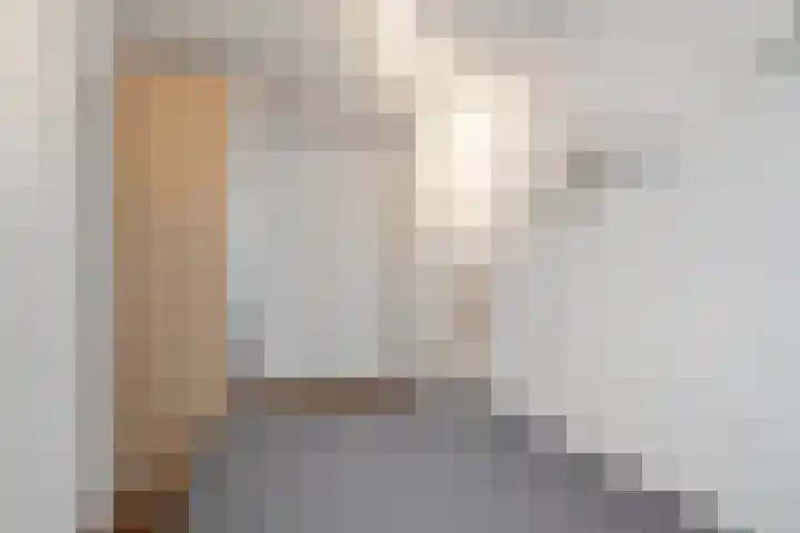 Kreekwaard 45 Alkmaar thumbnail 22