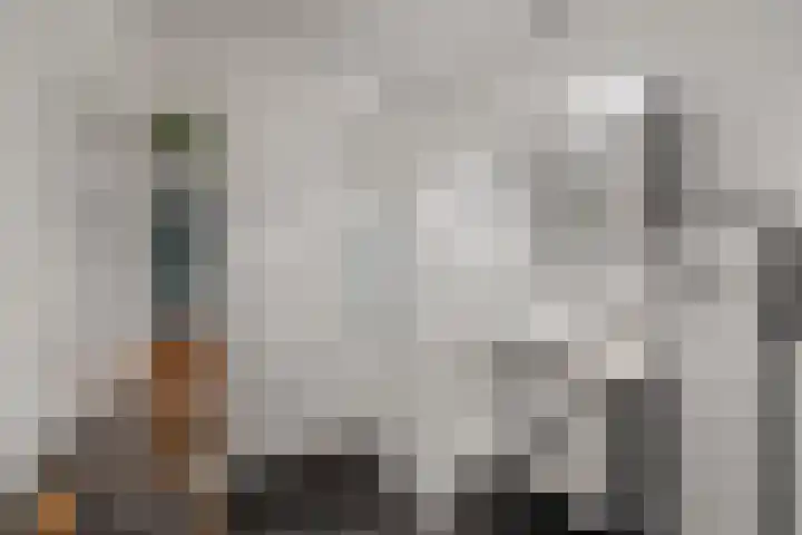 Kreekwaard 45 Alkmaar thumbnail 24