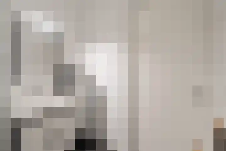 Kreekwaard 45 Alkmaar thumbnail 25