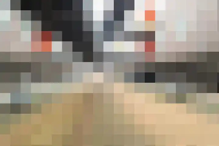 Kreekwaard 45 Alkmaar thumbnail 27