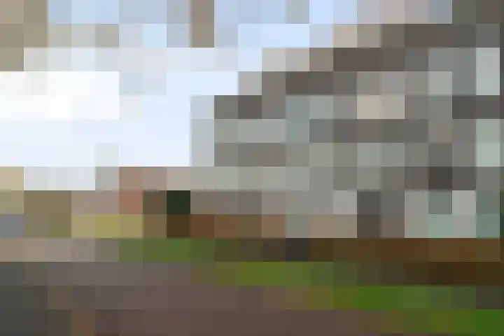 Kreekwaard 45 Alkmaar thumbnail 28