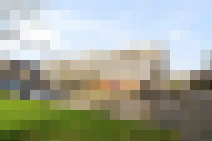 Kreekwaard 45 Alkmaar thumbnail 4