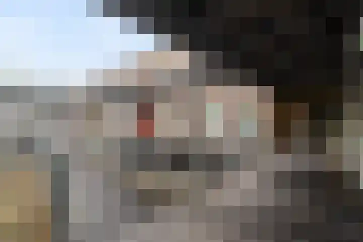 Kreekwaard 45 Alkmaar thumbnail 5