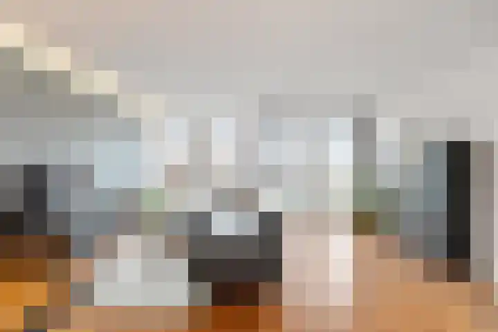 Kreekwaard 45 Alkmaar thumbnail 9