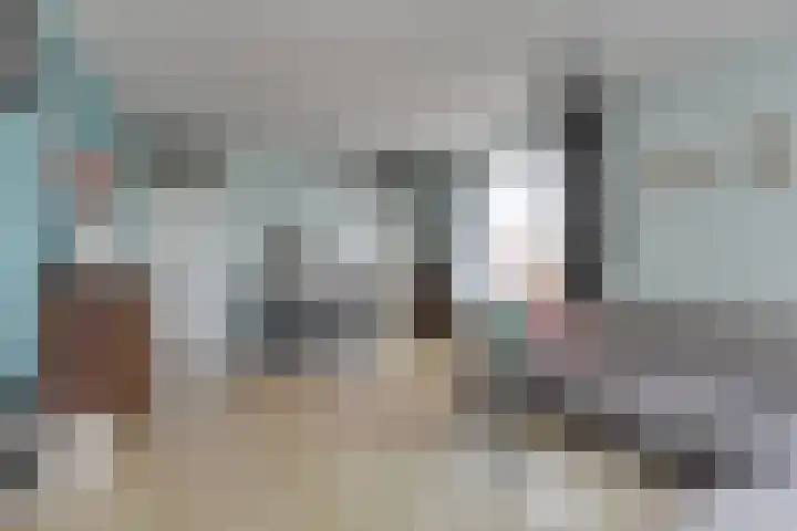 Kreekwaard 54 Alkmaar thumbnail 10