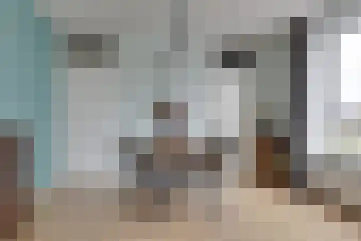 Kreekwaard 54 Alkmaar thumbnail 13