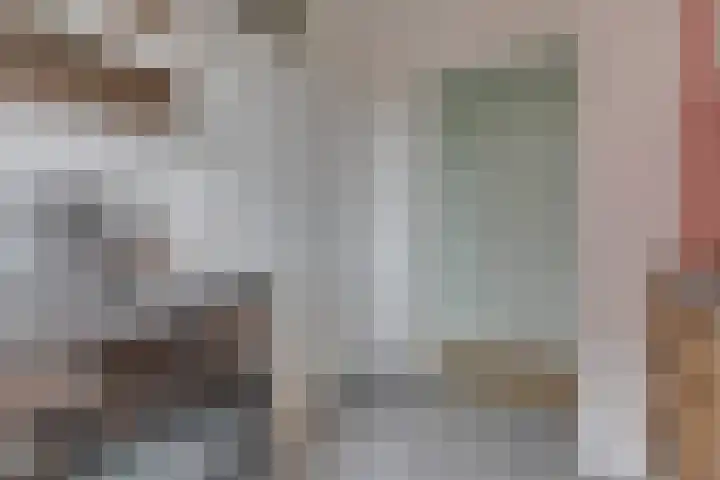 Kreekwaard 54 Alkmaar thumbnail 17