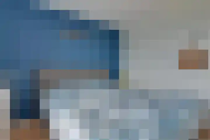 Kreekwaard 54 Alkmaar thumbnail 19
