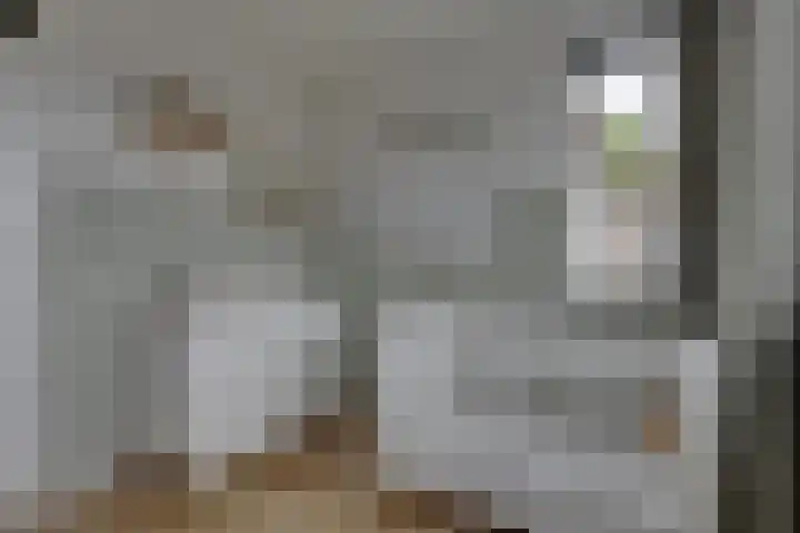 Kreekwaard 54 Alkmaar thumbnail 23