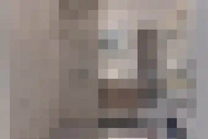Kreekwaard 54 Alkmaar thumbnail 24