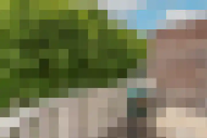 Kreekwaard 54 Alkmaar thumbnail 30