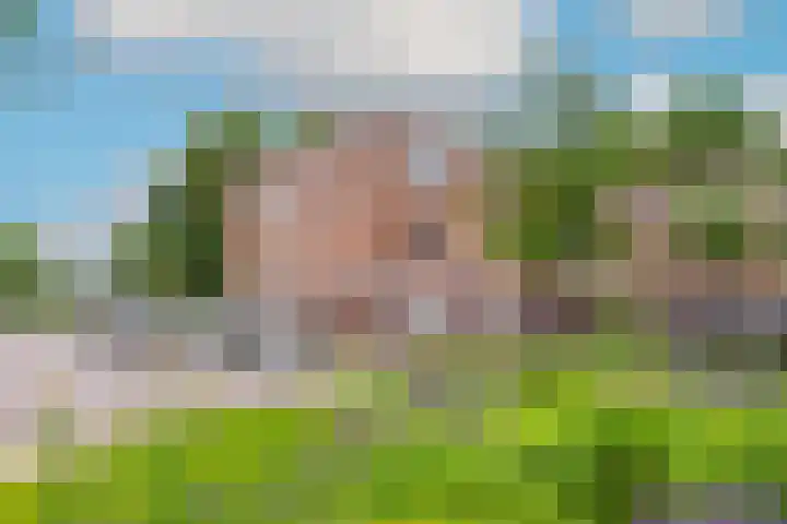 Kreekwaard 54 Alkmaar thumbnail 31