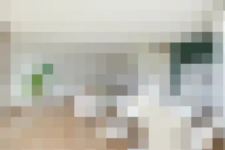 Kreekwaard 67 Alkmaar thumbnail 10