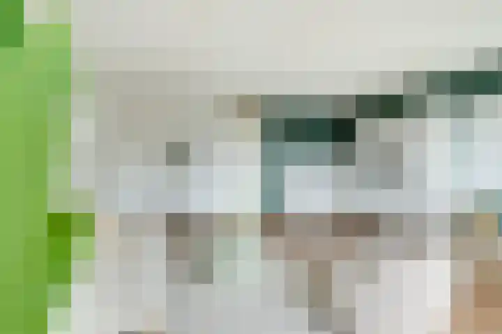 Kreekwaard 67 Alkmaar thumbnail 11