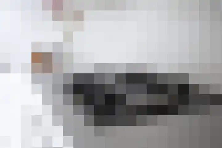 Kreekwaard 67 Alkmaar thumbnail 15