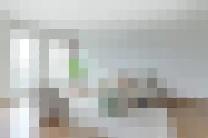 Kreekwaard 67 Alkmaar thumbnail 20